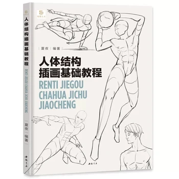 בסיסי הדרכה על גוף האדם, מבנה איור ספר אמנות מבנה דינמי טכניקות גוף האדם מצייר