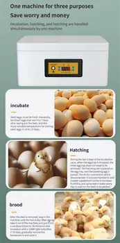 דגירה פטם ציוד חקלאי קל לשימוש שמירת שיש בידוד מצויד עם ביצה תאורה פונקציה עוף האינקובטור