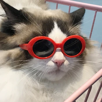 1PC חתול חמוד משקפיים כלב קטן משקפיים גור חתלתול משקפי שמש אביזרים לחיות מחמד
