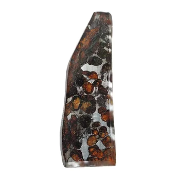 15.9 g SERICHO Pallasite זית המטאוריט פרוסות טבעי המטאוריט חומר זית המטאוריט דגימות מקניה - QA301