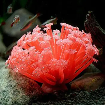 מלאכותי והשושנה חיקה אלמוגים קישוטים 15 10 ס 