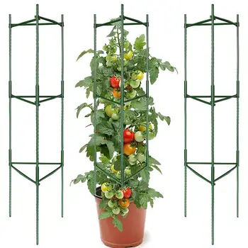 כלובי עגבניות סירים 3 Pack צמחים בגינה תמיכה כלובים עגבניות כלובים צמח כלוב כלוב העגבניות ירקות הפרגולה התאספו עגבניות